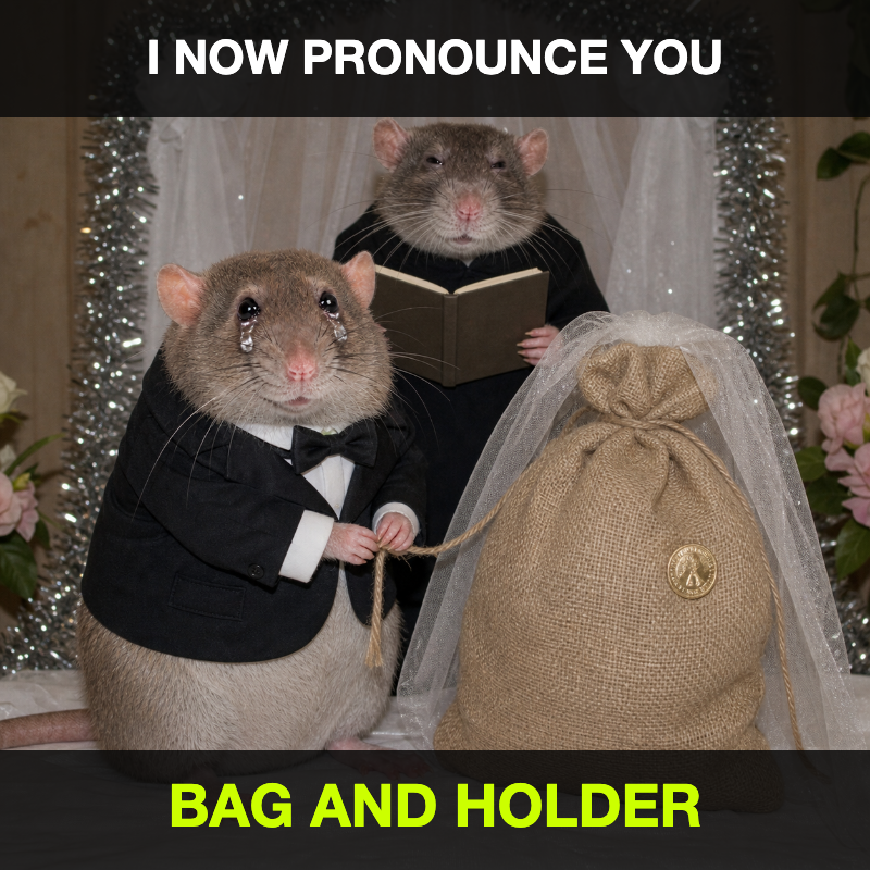 cashrat marrying a money bag