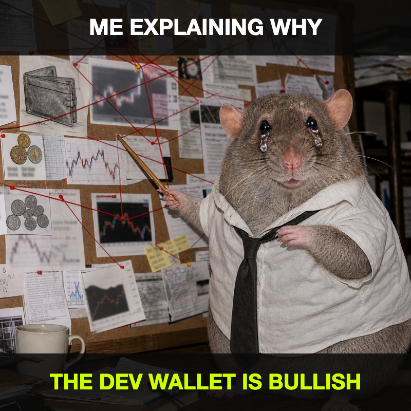 cashrat explaining why the dev wallet is bullish using a conspiracy board