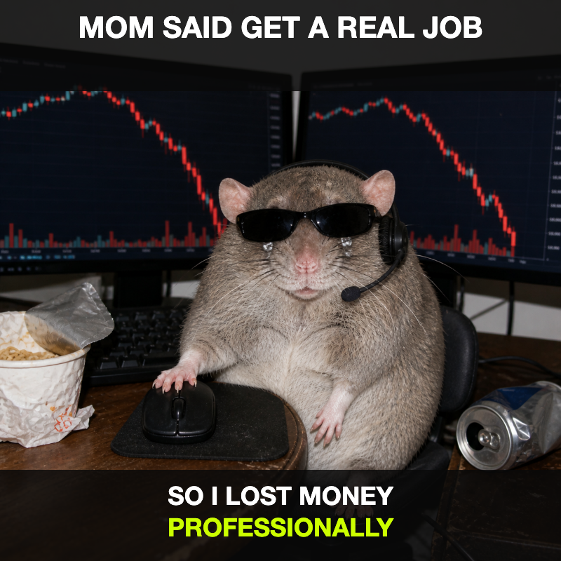cashrat trading professionally while the market crashes
